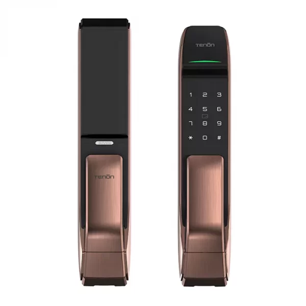 Tuya APP Smart Fingerprint Lock A2c Push-pull Door Lock