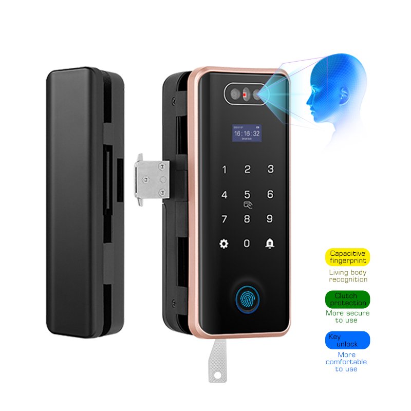 Eseye CP90 TUYA Wi-Fi Tuya+ Face + Fingerprint Biometric Glass/Sliding door Lock with Hook + Mechanical Key