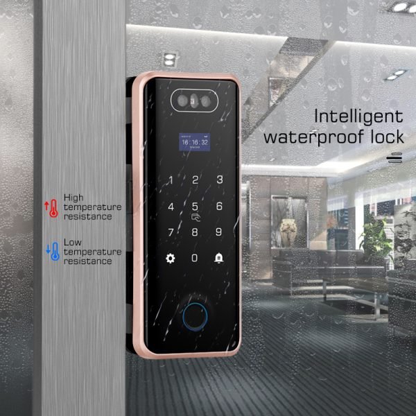 CP90 TUYA Wi-Fi Tuya+ Face + Fingerprint Biometric Glass/Sliding door Lock with Hook + Mechanical Key