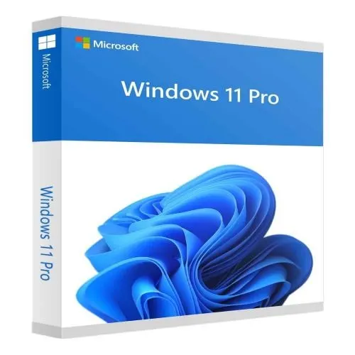 Window 11 Professional 