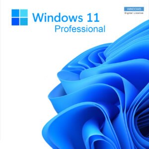 windows 11 professional