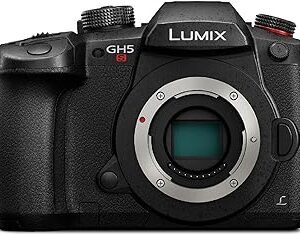 Panasonic Gh5s (Only Body)