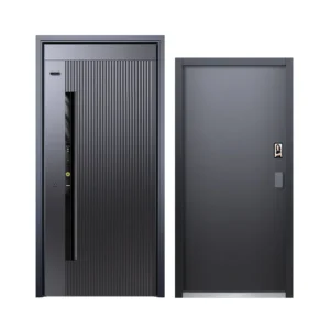 Tenon MS Smart Door System