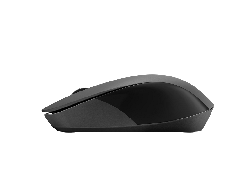HP 150 Wireless Mouse (Entry wireless mouse · everyday use) WIRELESS CONNECTIVITY Compact Design Plug & Play BLACK 1-Year Warranty 2S9L1AA