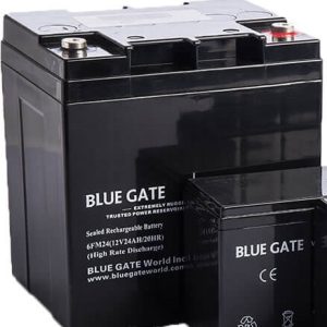 BLUE GATE 12V/24AH VRLA Battery