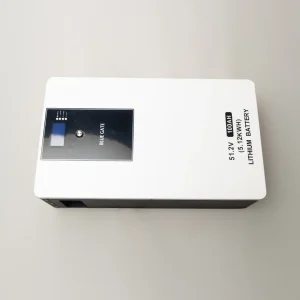 BLUEGATE 5.12kWh Lithium Battery with 100A BMS