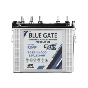 BG VIGOR TUBULAR 12V220AH BATTERY 12v220AH Tubular Battery; 65KGS; 24 months
