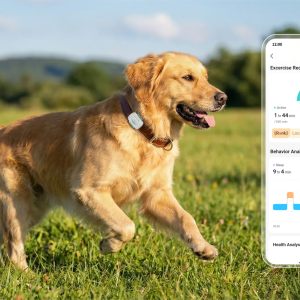 Smart Pet Collar – AI Pet Care For Every Pawstep