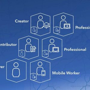 ‎ArcGIS Online Professional Plus User Type Annual Subscription