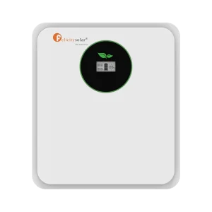 FELICITY LITHIUM BATTERY FLA24100